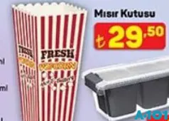 MISIR KUTUSU